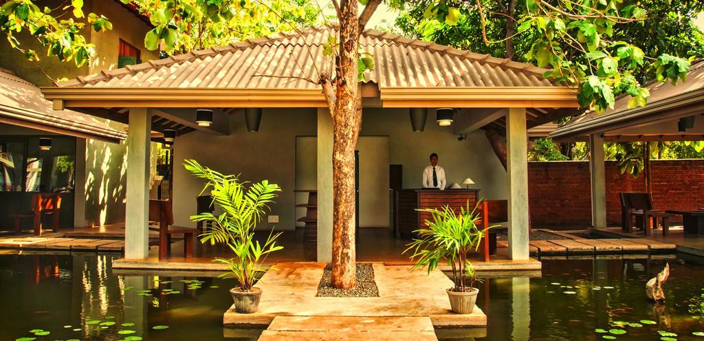 Fresco Water Villa Sigiriya Exteriér fotografie